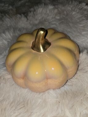 Iridescent Yellow Pumpkin with Gold Stem